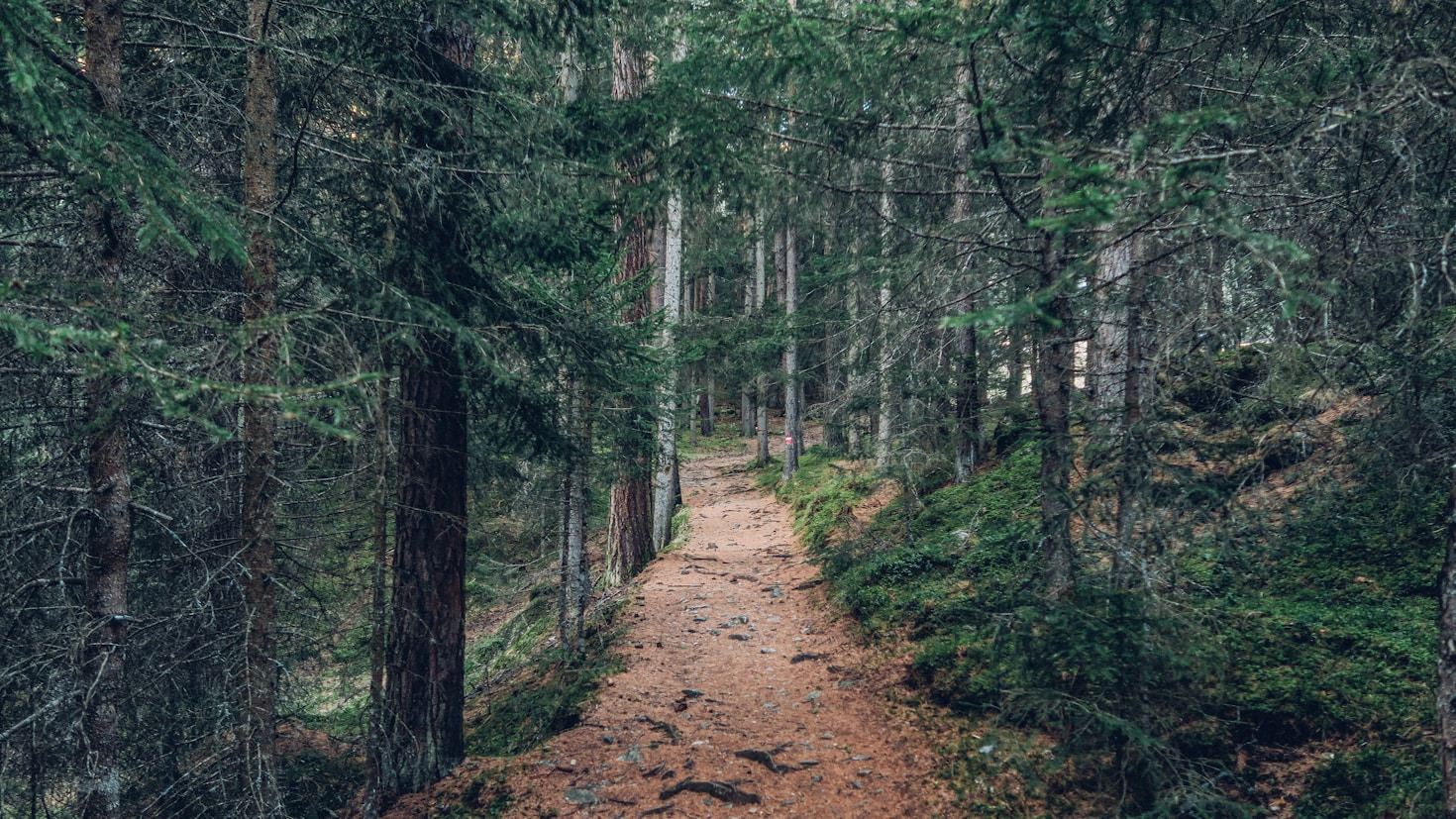 5 Things To Know Before Camping In Arkansas