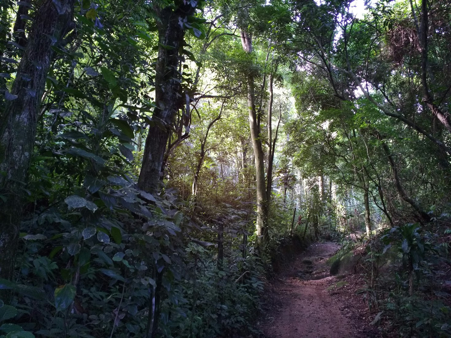 The 5 Best State Parks for Hiking in Arkansas