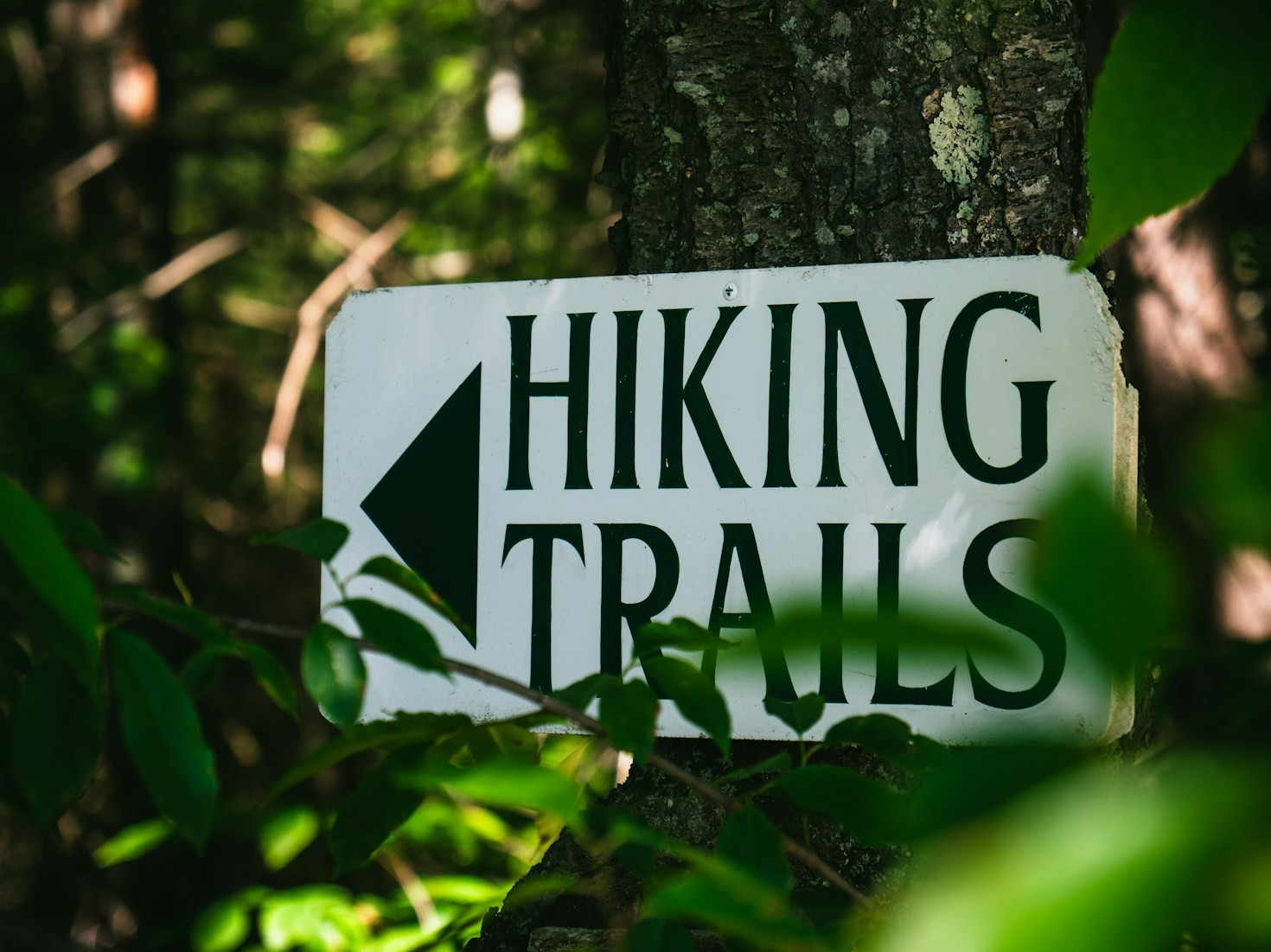 Best Places For Primitive Camping In Arkansas