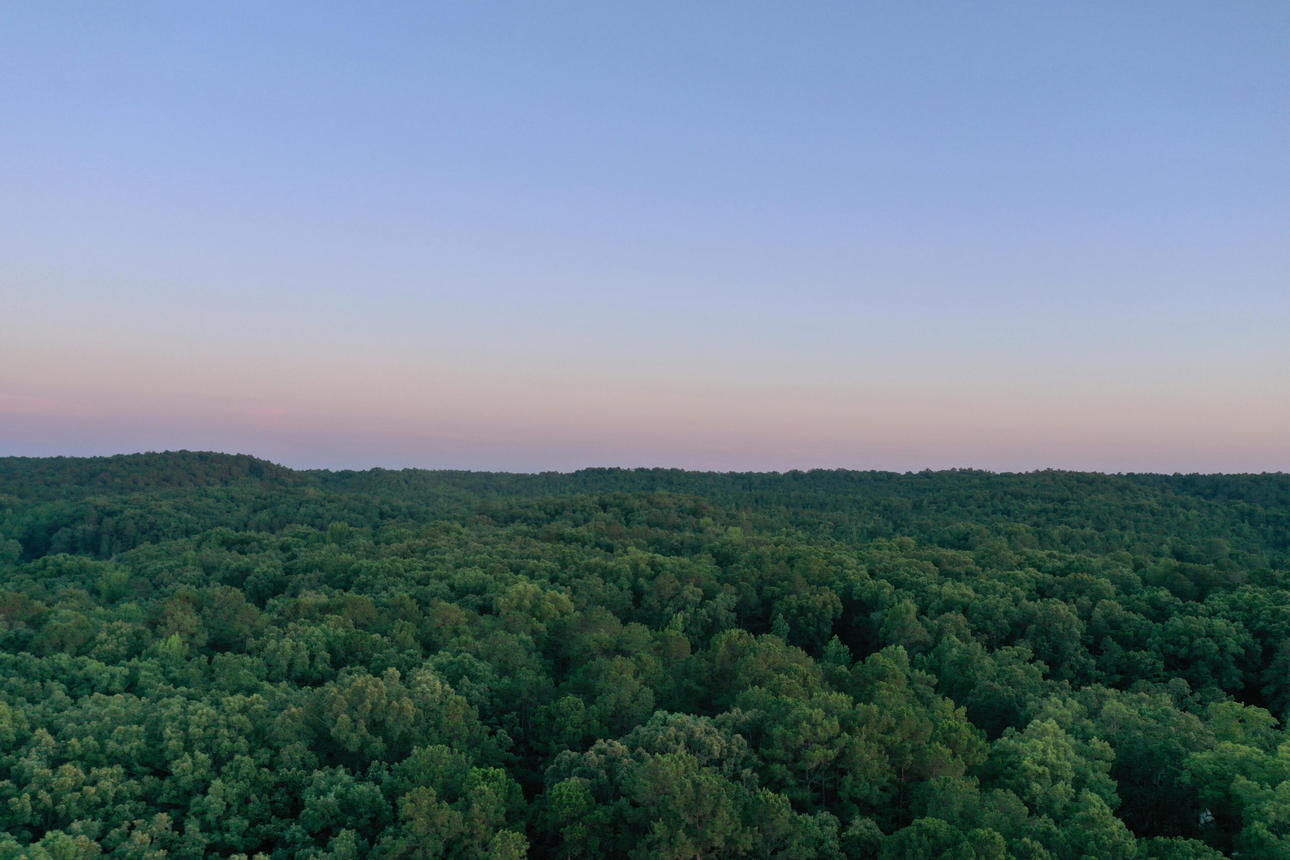 A Hidden Gem: Why Hikers Love Arkansas